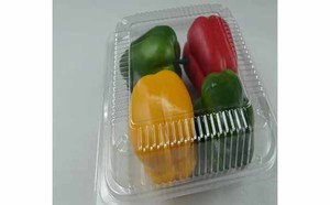 蔬菜盒