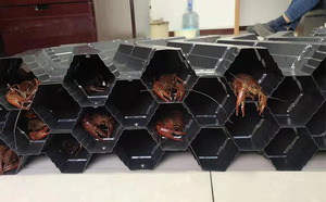 龙虾养殖巢